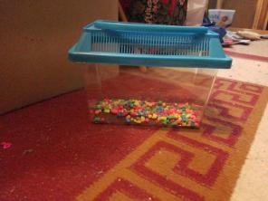 Fish tank