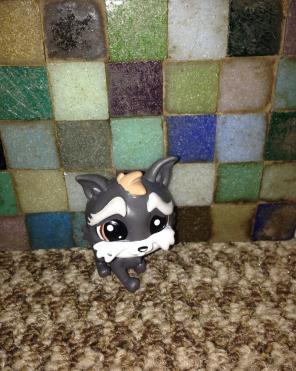 Littlest Pet shop Dog