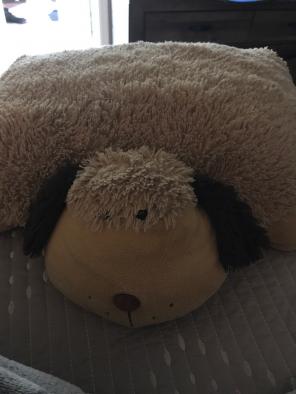 Cute Dog Pillo