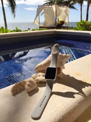 Gray Apple Watch Band