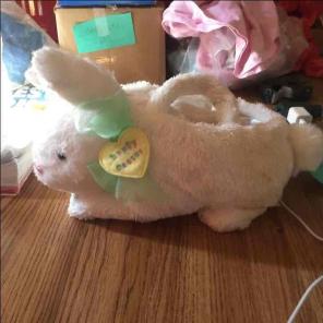 Adorable Bunny Easter Basket!
