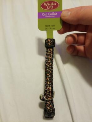 Whisker City cheetah cat collar