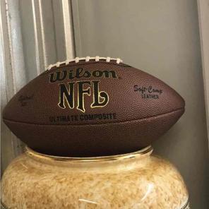 Wilson NFL Official Size Football