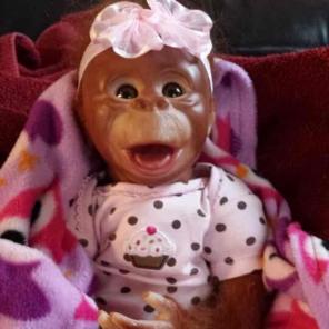 Reborn monkey and banana bottle