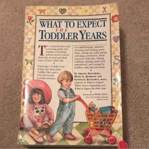 What to Expect when Expecting - Toddlers