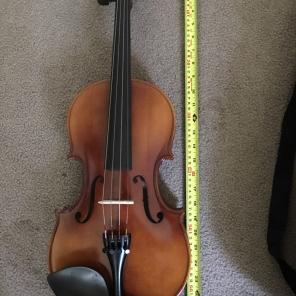 Viola