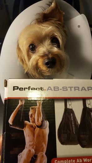 Complete Perfect Ab Strap