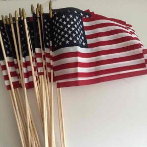 20 US Flags
