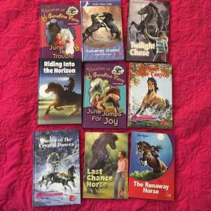 Set of Pony Club Books