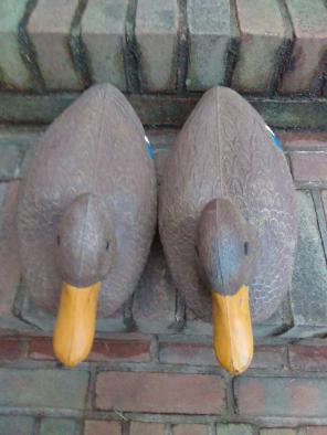 flambeau decoys