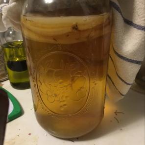 Healthy Large Kombucha Scoby Culture
