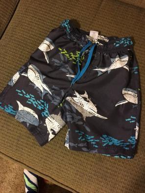 Boys Gymboree Swimming Trunks