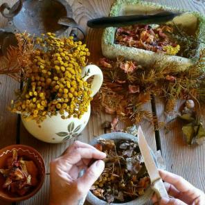 20 Magickal Herbs