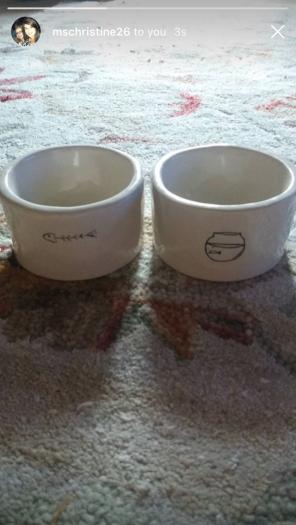Rae Dunn Cat Bowls