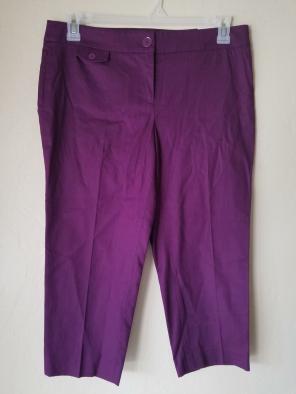 Ann Taylor LOFT Cropped Pants Size 8P