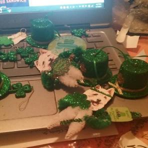 St patrick's party lot