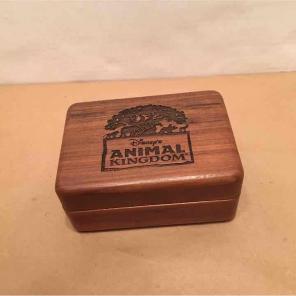 Disney animal kingdom treasure box