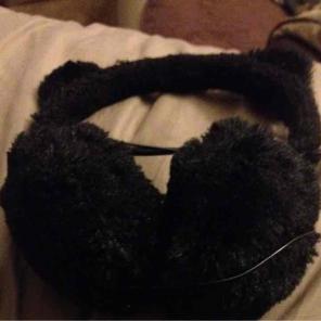 Cat ears headphones