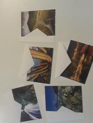Nature Postcards