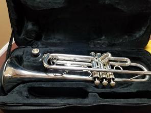 Novella Trumpet