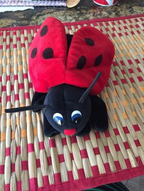 LADY BUG HAND PUPPET