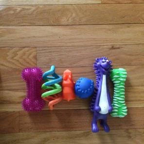 Dog Toys