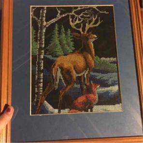 Deer picture