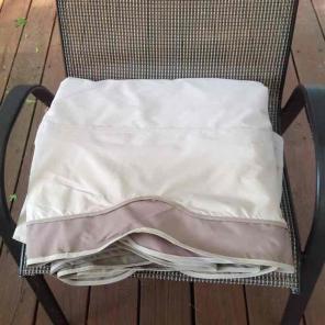 Replacement 10x10 canopy