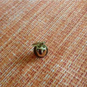 Apple pin