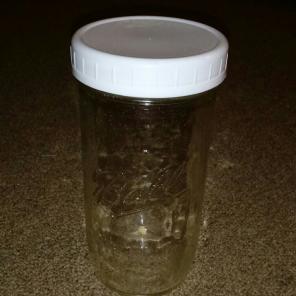 Ball Food Container