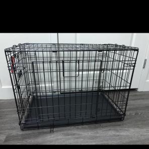 Black Dog Crate