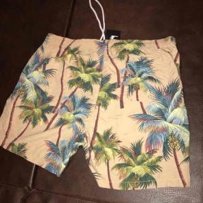 Stussy Palm beach short