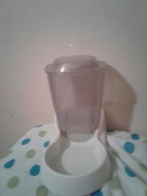 Cat food bowl
