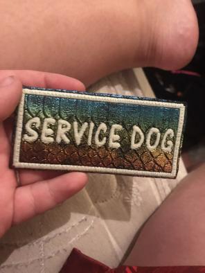 Service Dog Rainbow Dragon Patch