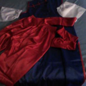 New Dragon ball costume