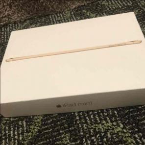 iPad Mini 4