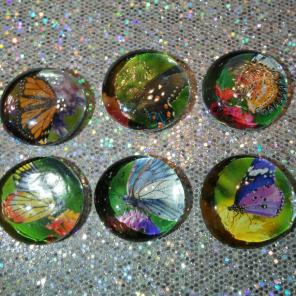 Butterfly glass beads magnets