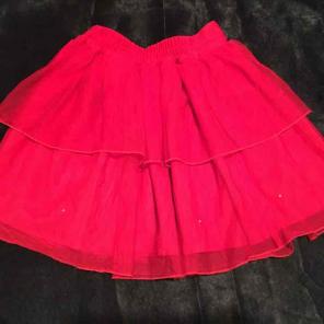 Stunning Tutu Skirt