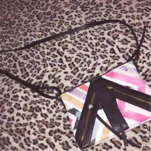 Small Purse