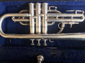 Intermediate Cornett Horn