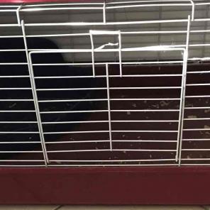 Like New Large Small Animal Cage