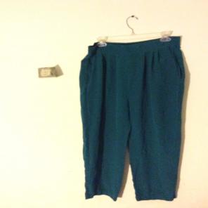 Dark teal Pants