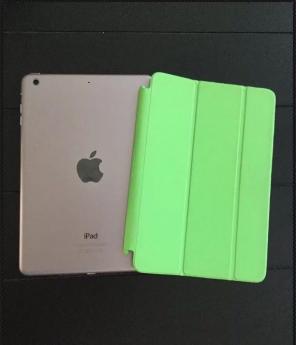ipad mini 2 retina display with case