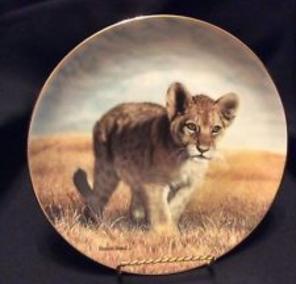 Plate Collection 8 1/2 Cm