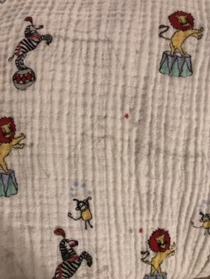 Aden And Annais Swaddle Blanket