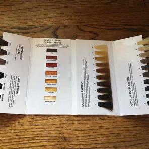 Paul Mitchell color swatches and charts