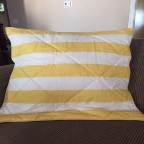 Pottery Barn Euro Sham!