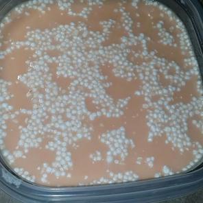 Orange jiggly slime