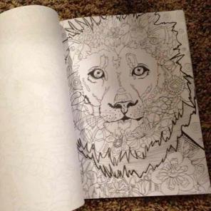 Coloring for adults