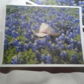 WWB-132/Note Cards/Hat in Blue Bonnets